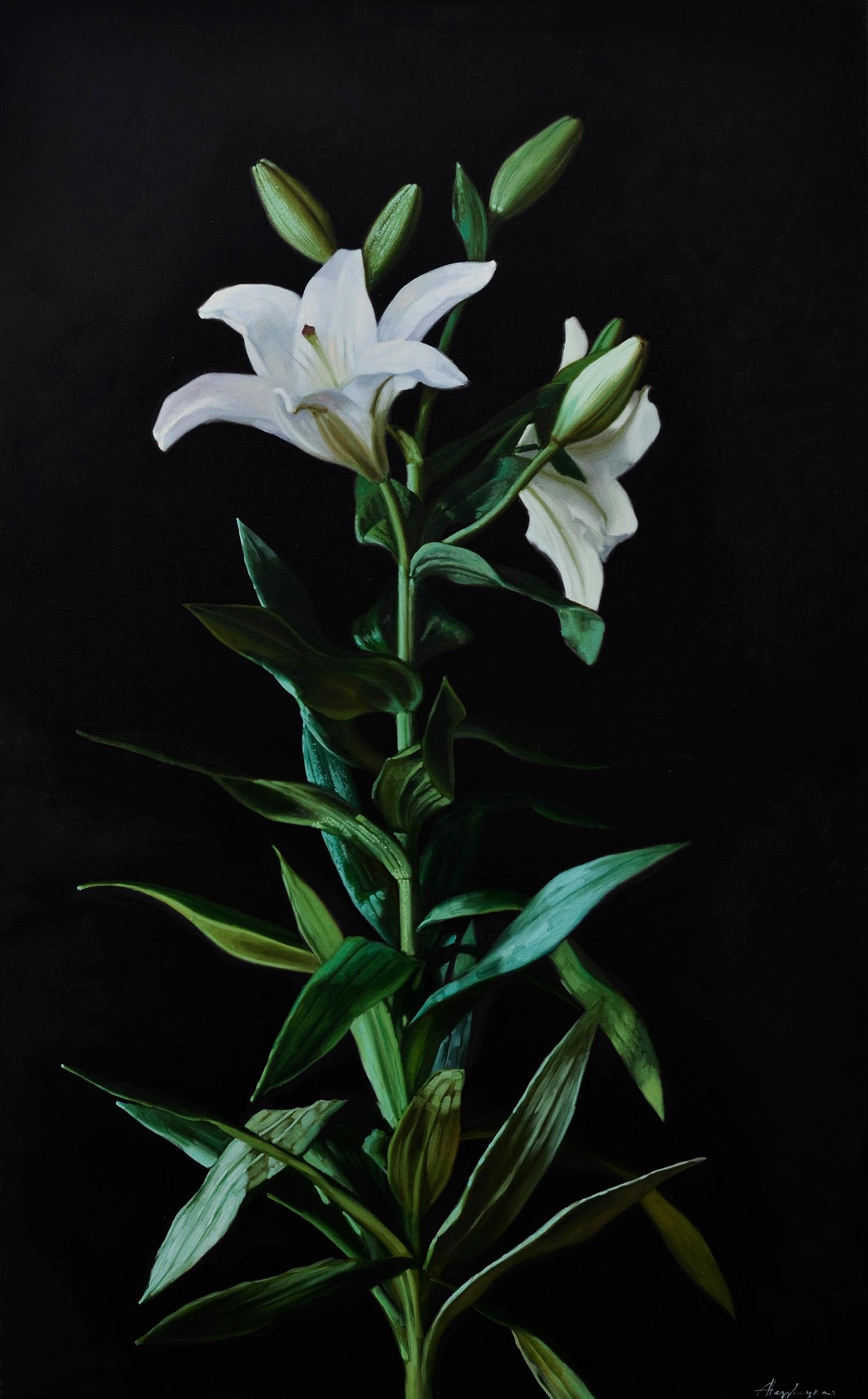 White Lily. Original modern art painting