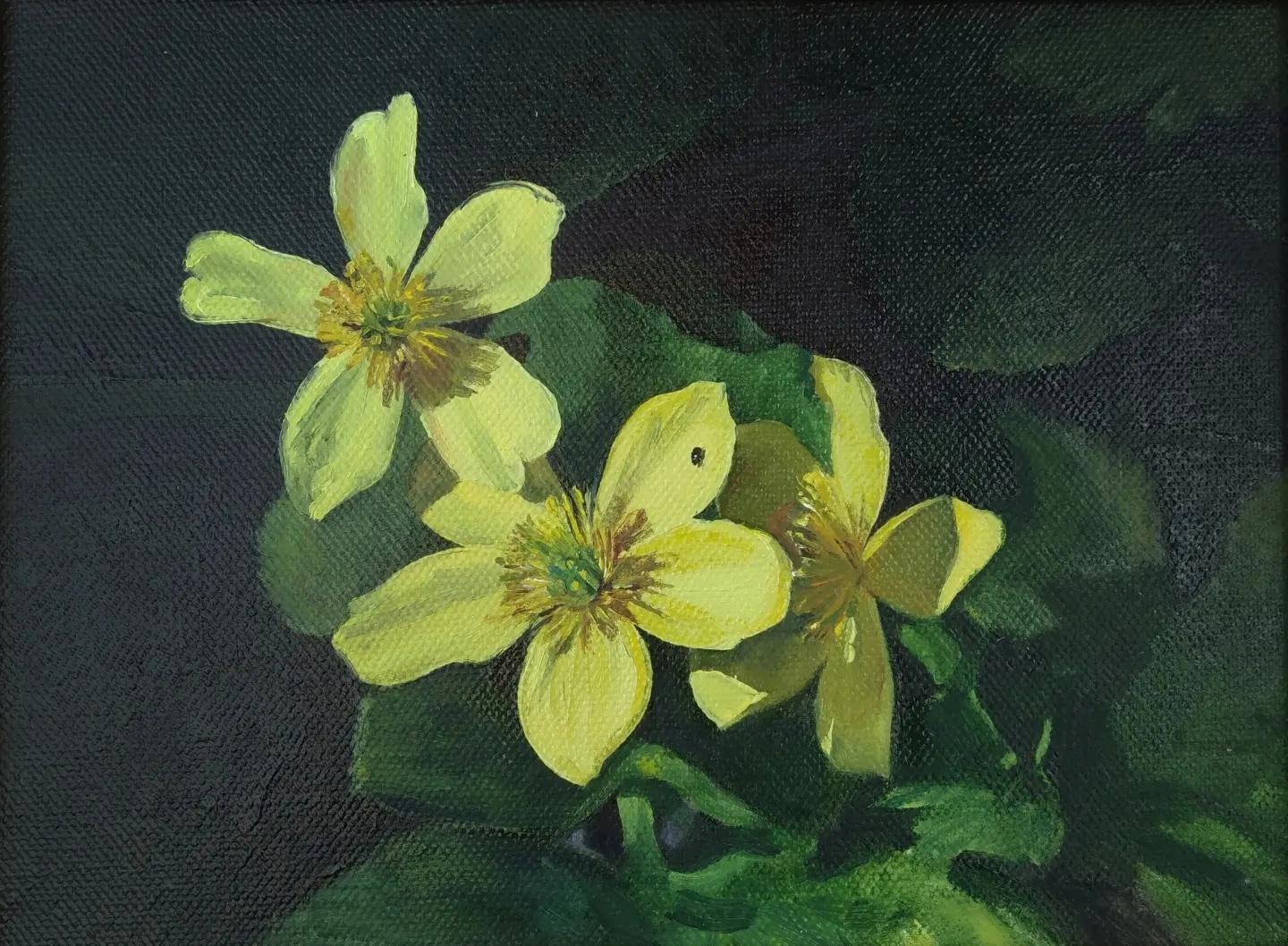 Marsh marigold. 2014. Original modern art painting