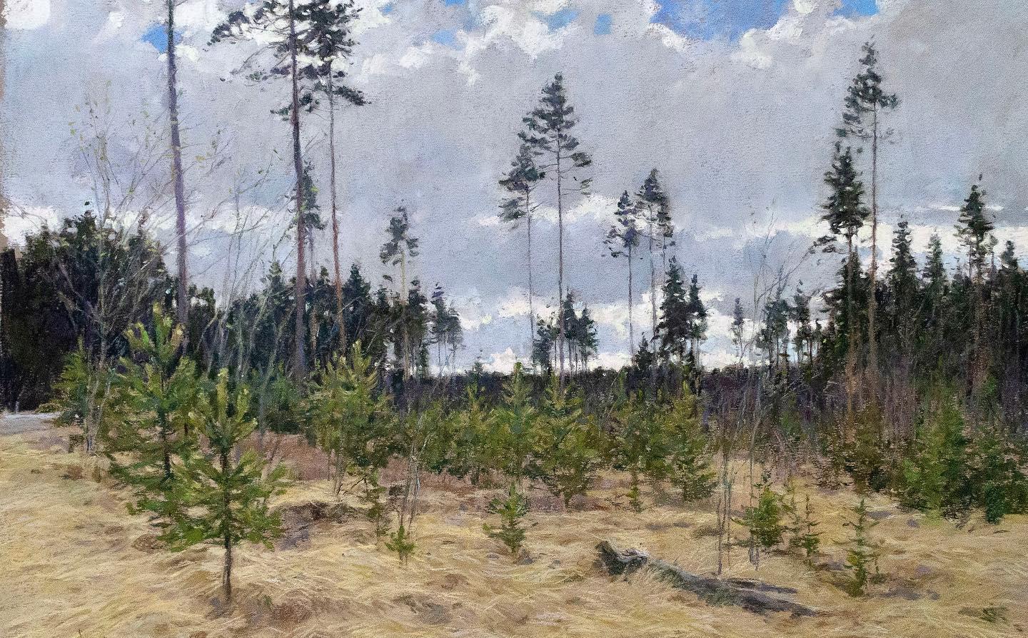 Early spring, Karelian isthmus. Original modern art painting