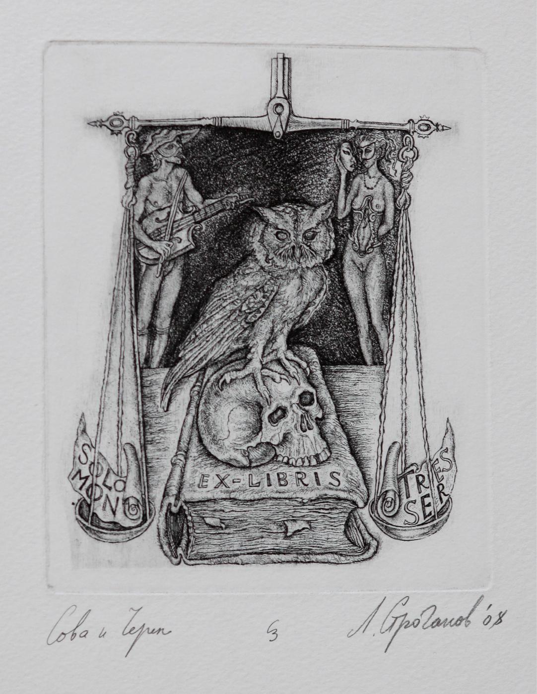 猫头鹰和鸥. Original modern art painting