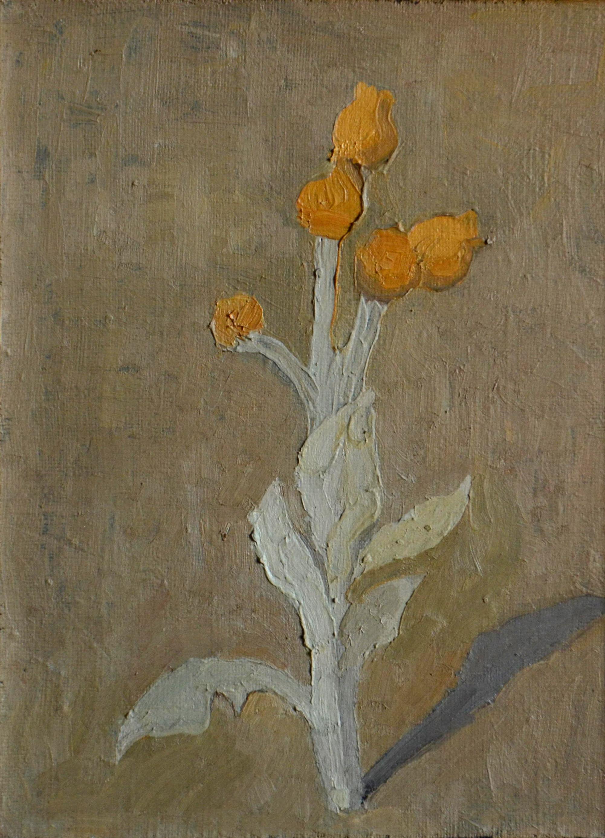 仙鹤草. Original modern art painting
