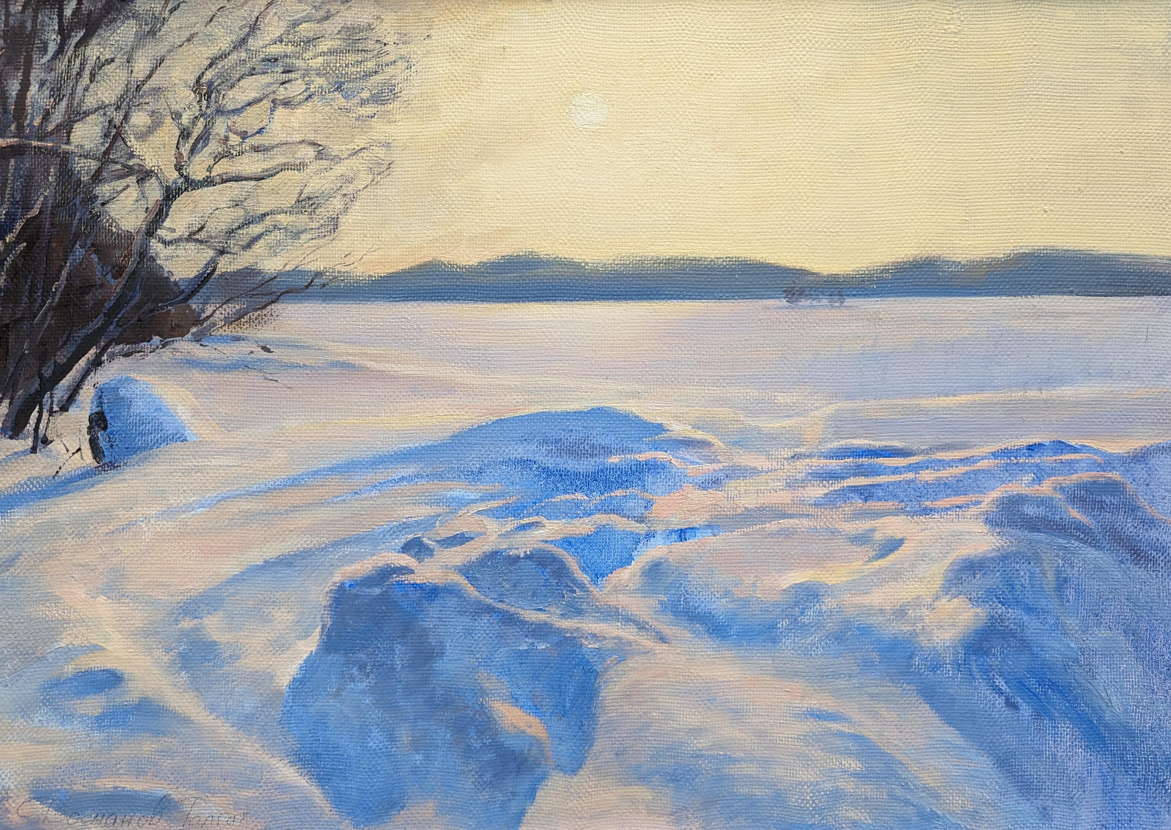 sunny day in Karelia. Original modern art painting