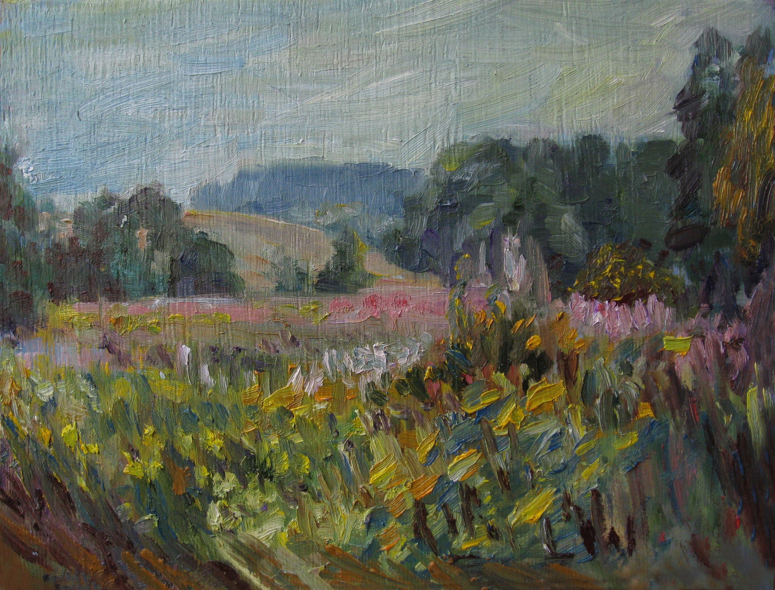 Sunny meadows. 2015. Original modern art painting