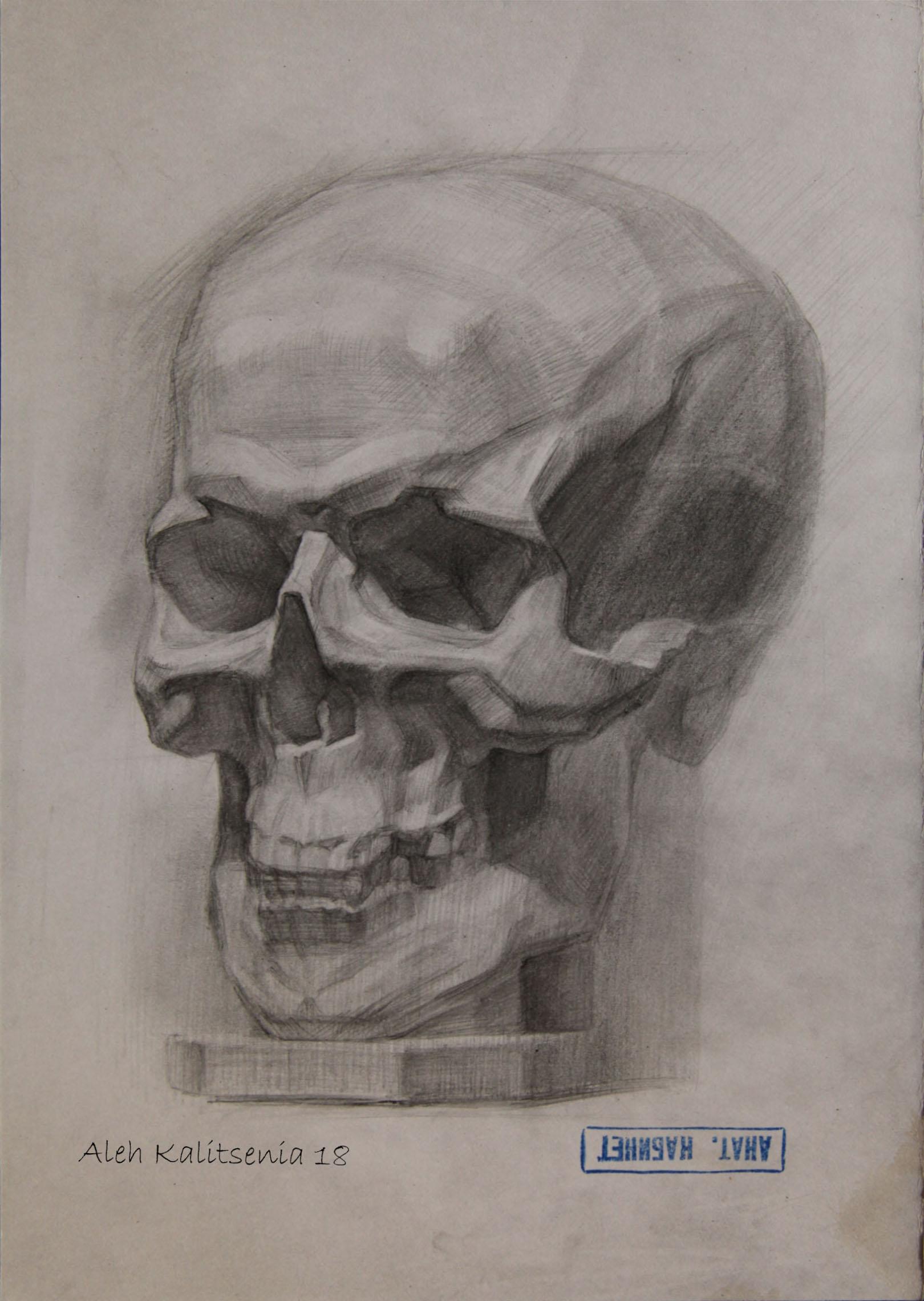 Skull in 3/4. 2018.. Original modern art painting