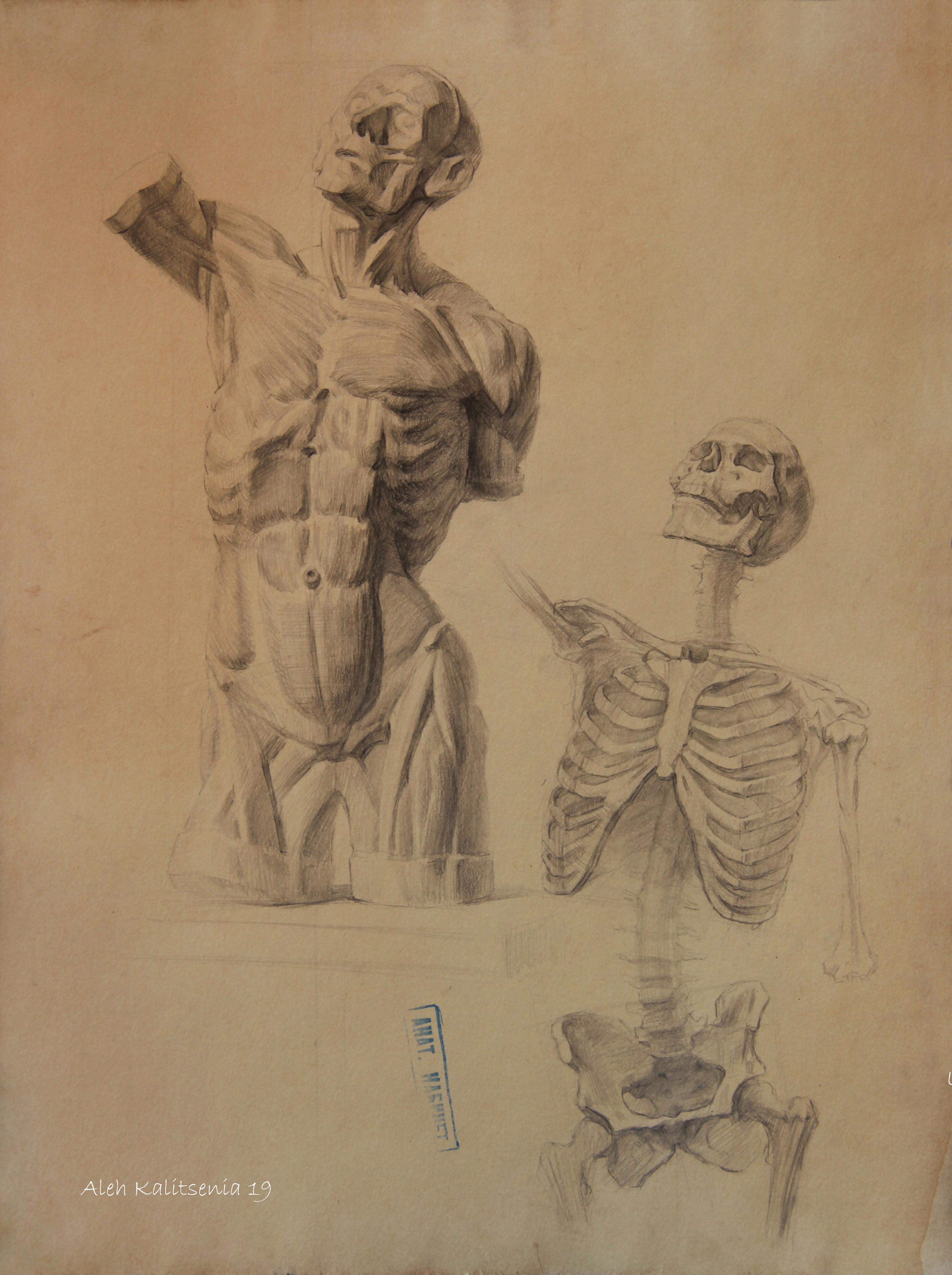 Munich torso and human skeleton, front view. 2019. Original modern art painting