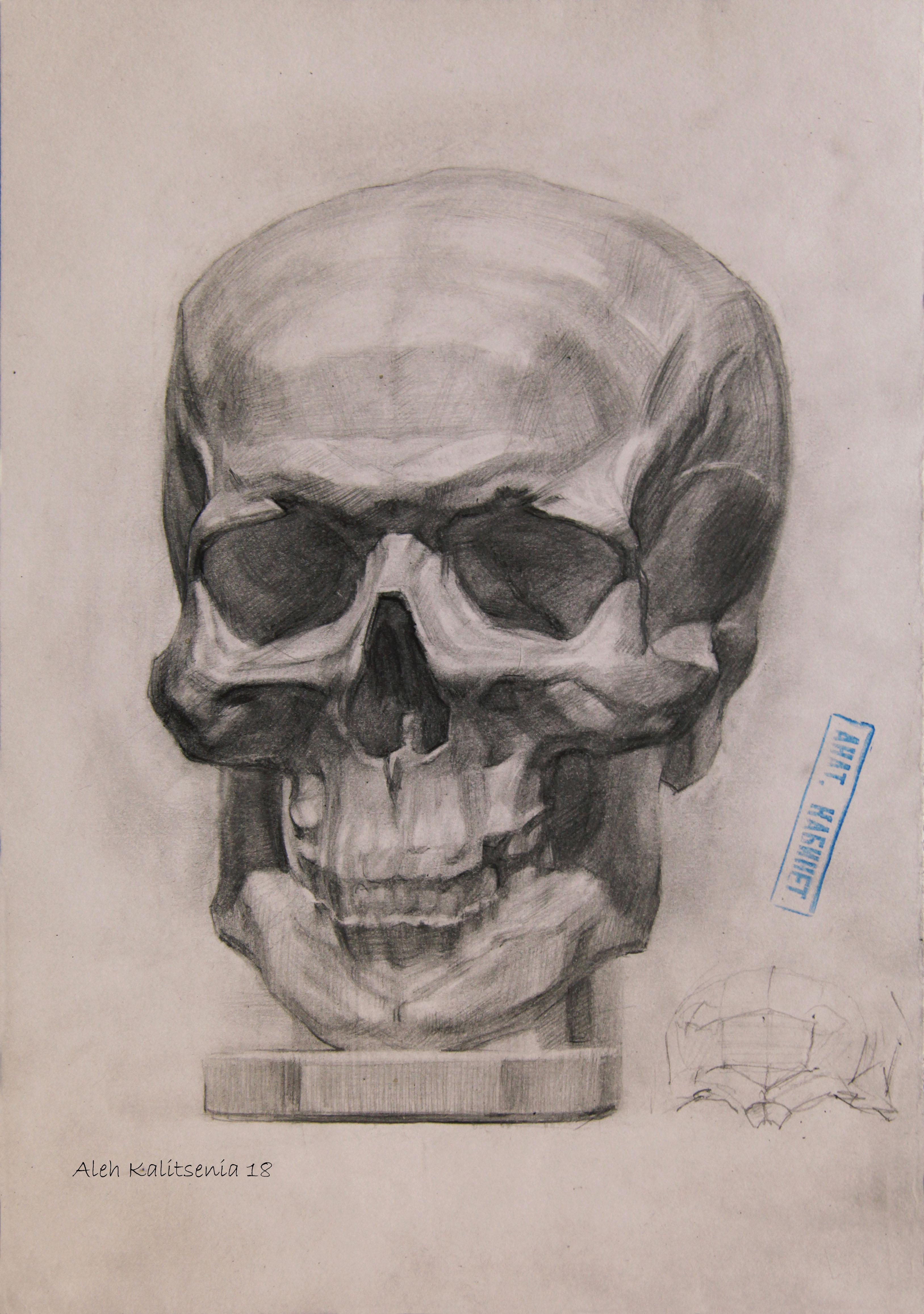 Skull in full face. 2018. Original modern art painting