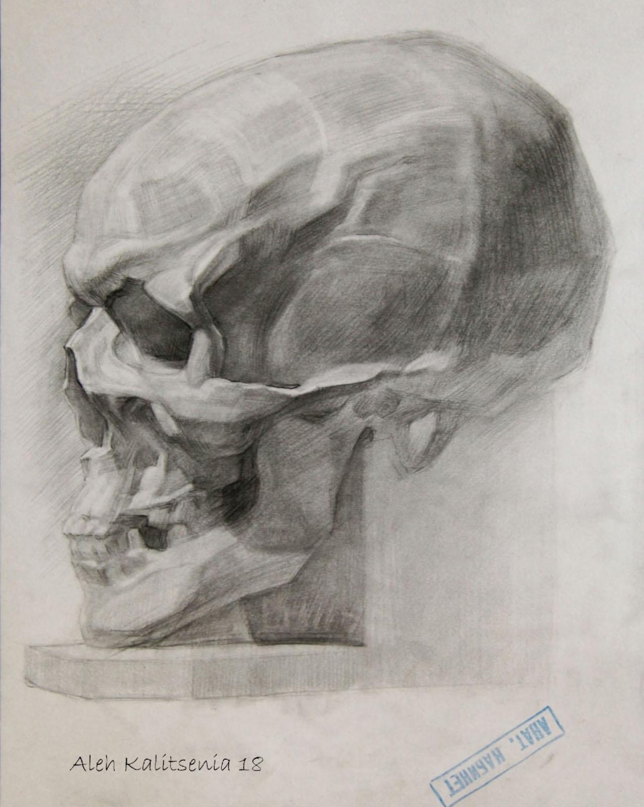 Skull in profile. 2018.. Original modern art painting