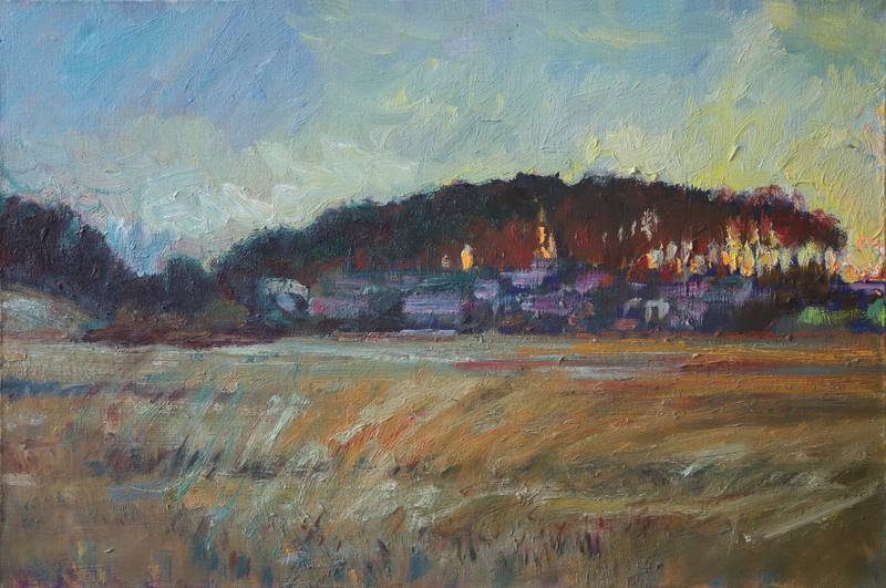 Evening in the "Duboviy les". 2015 — Kalitsenia Aleh