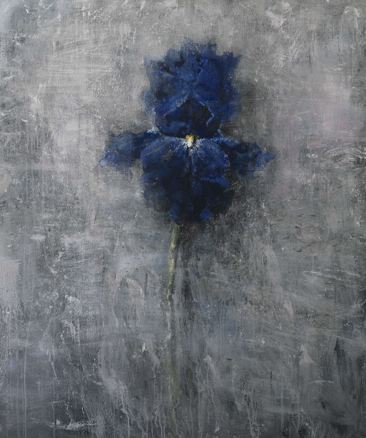Iris 5 — Pervushin Yury