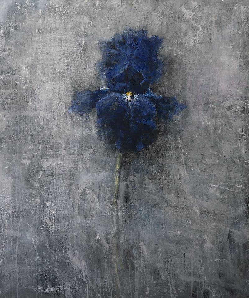 Iris 5 — Pervushin Yury