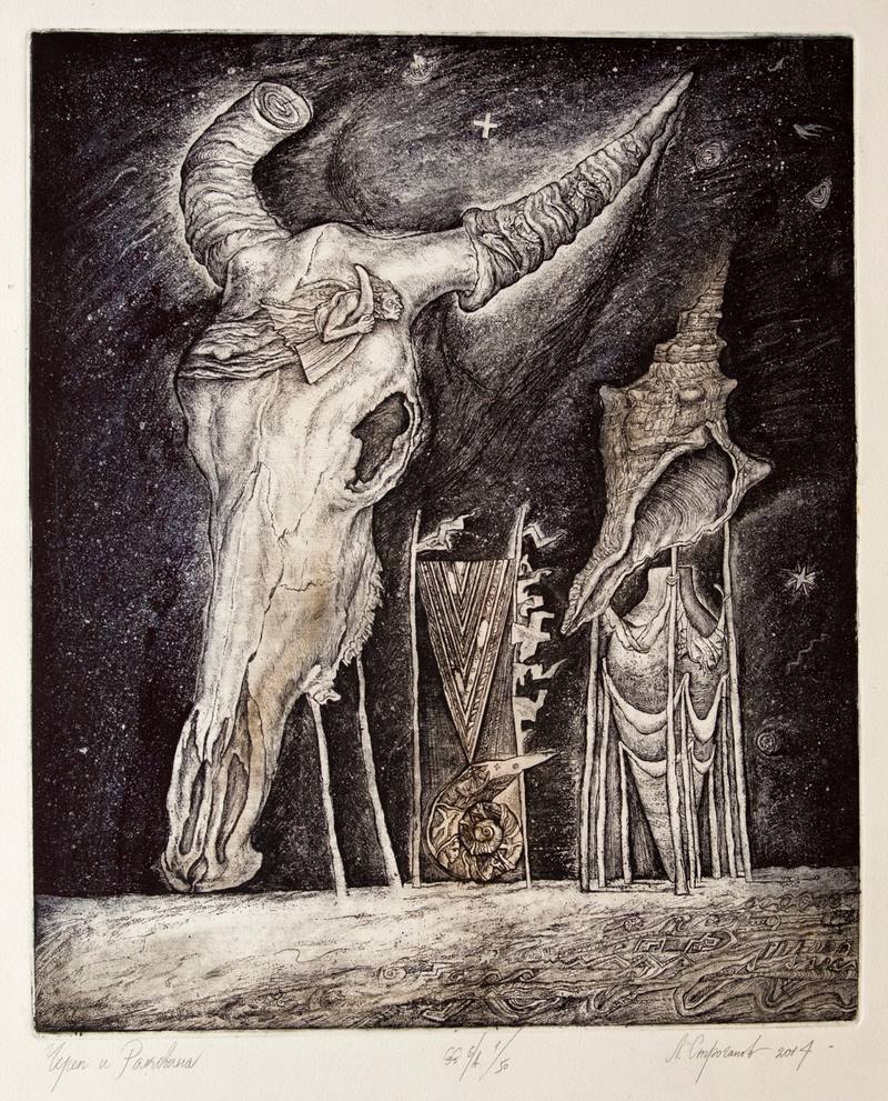 череп и раковина — Строганов Леонид