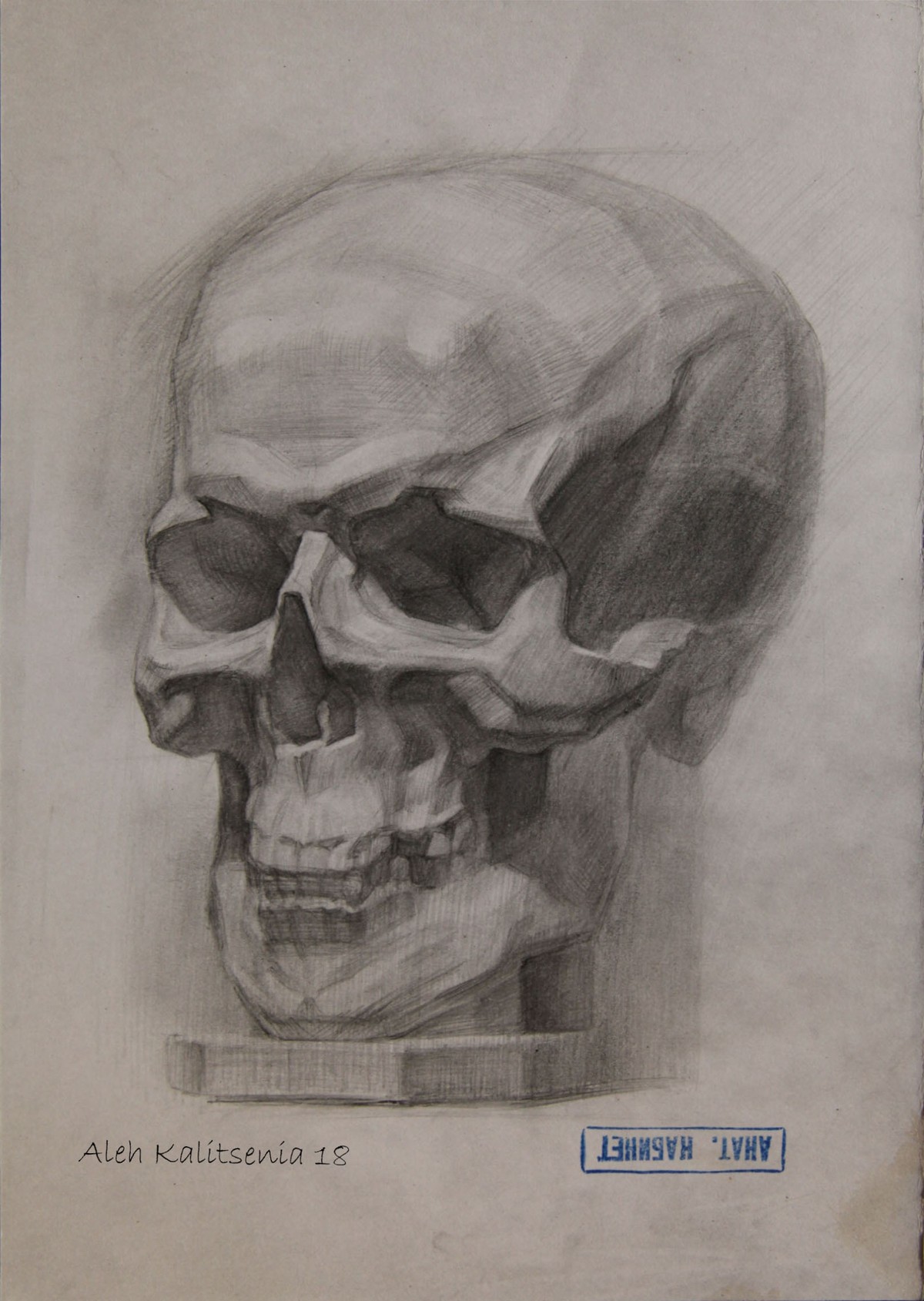 Skull in 3/4. 2018. — Kalitsenia Aleh