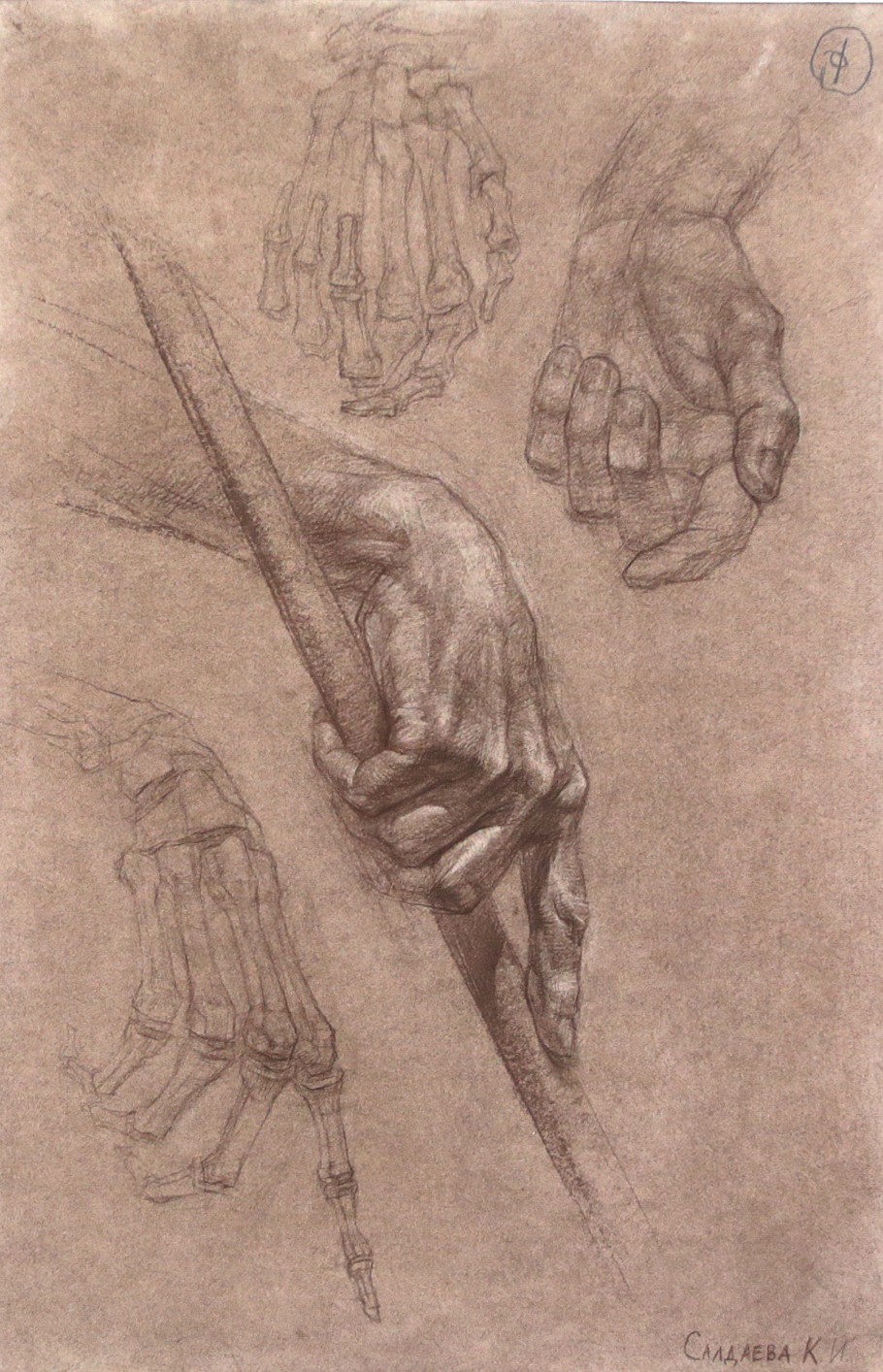 Saldaeva K