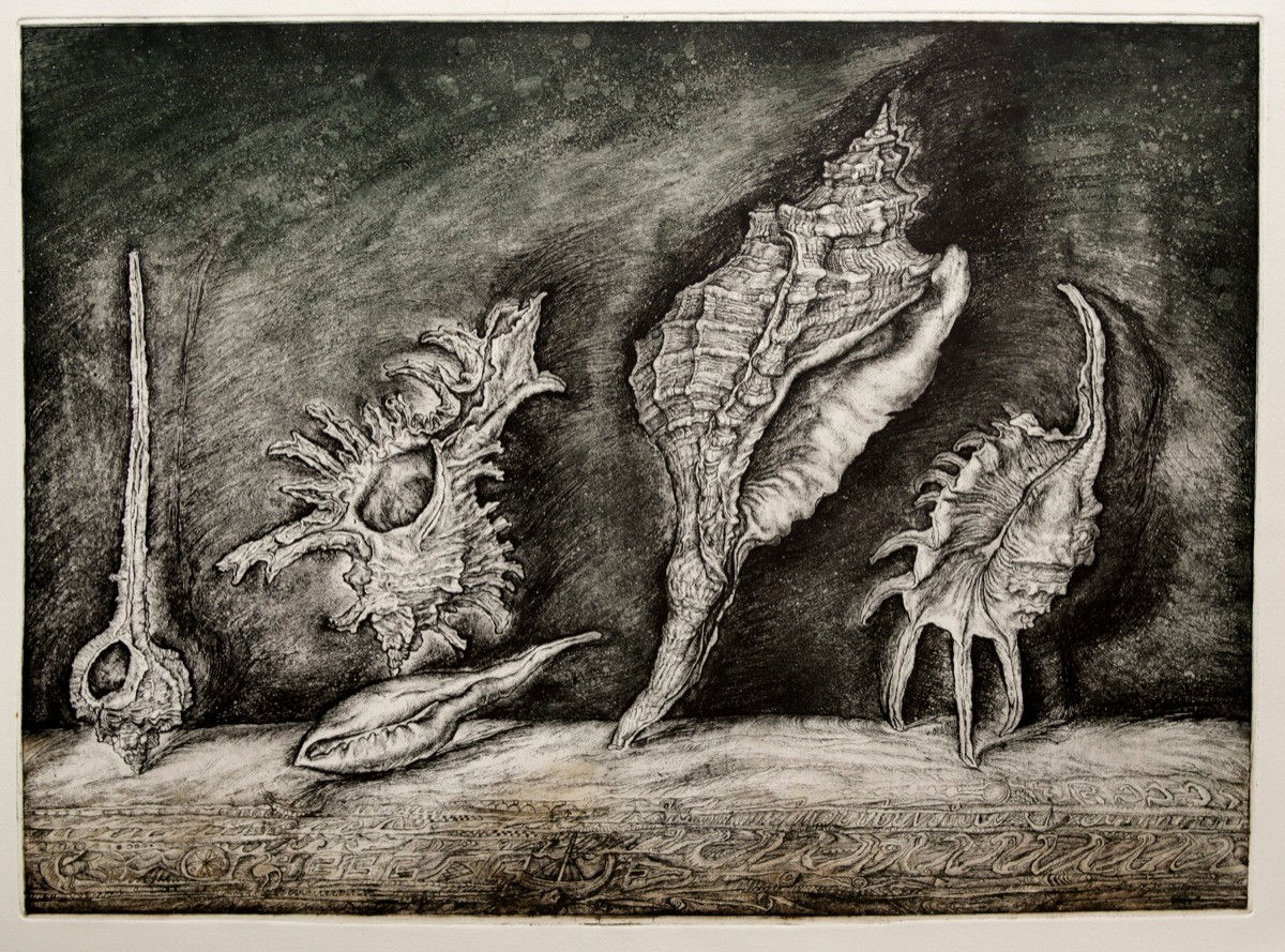 Shells — Stroganov Leonid