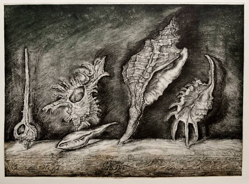 Shells — Stroganov Leonid