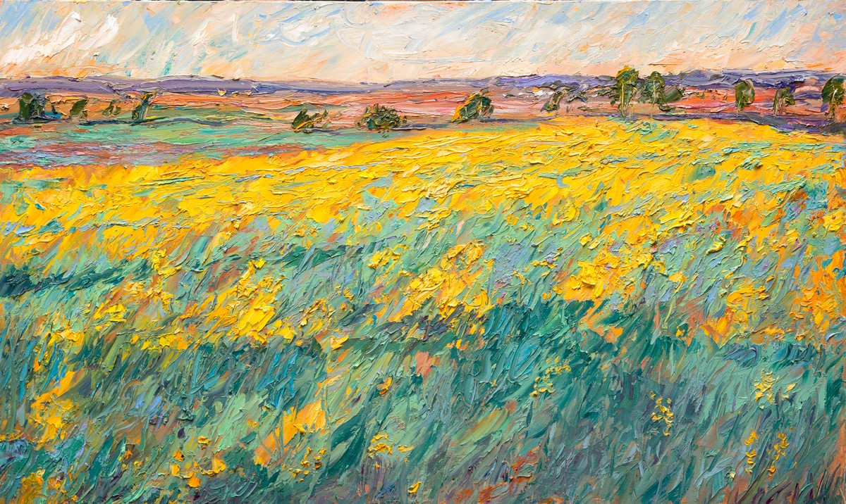 Rape flowers in the field — Olevsky Fedor