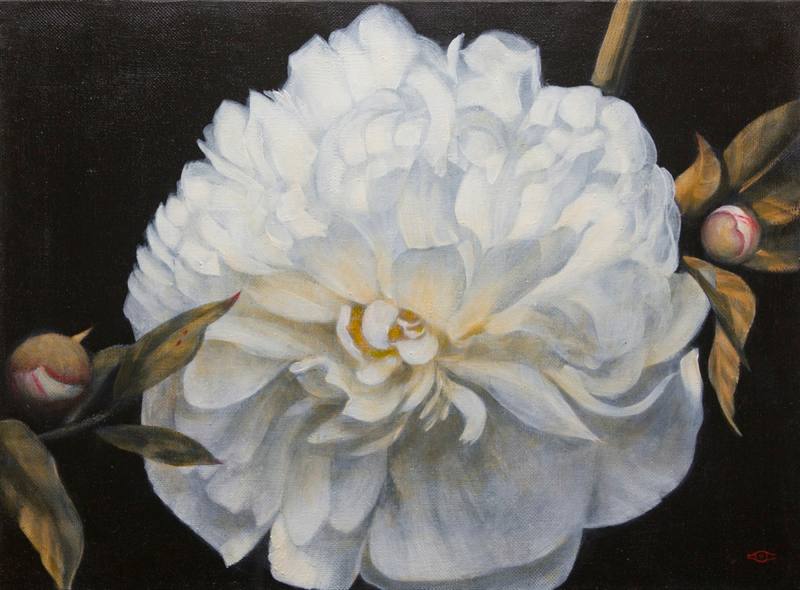 Black and white — Simonova Olga