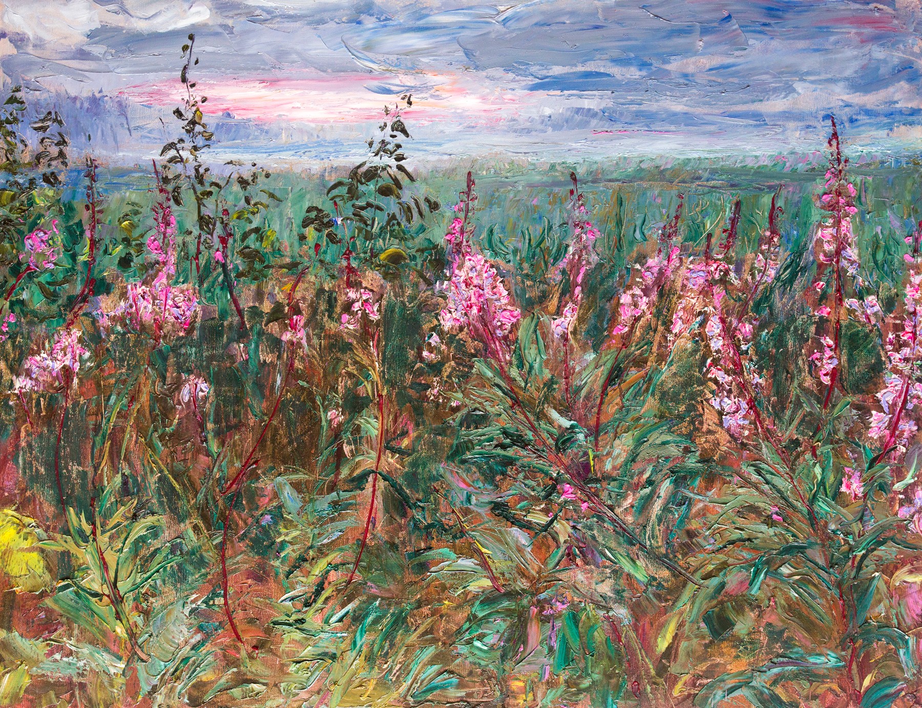 Night fireweed — Olevsky Fedor