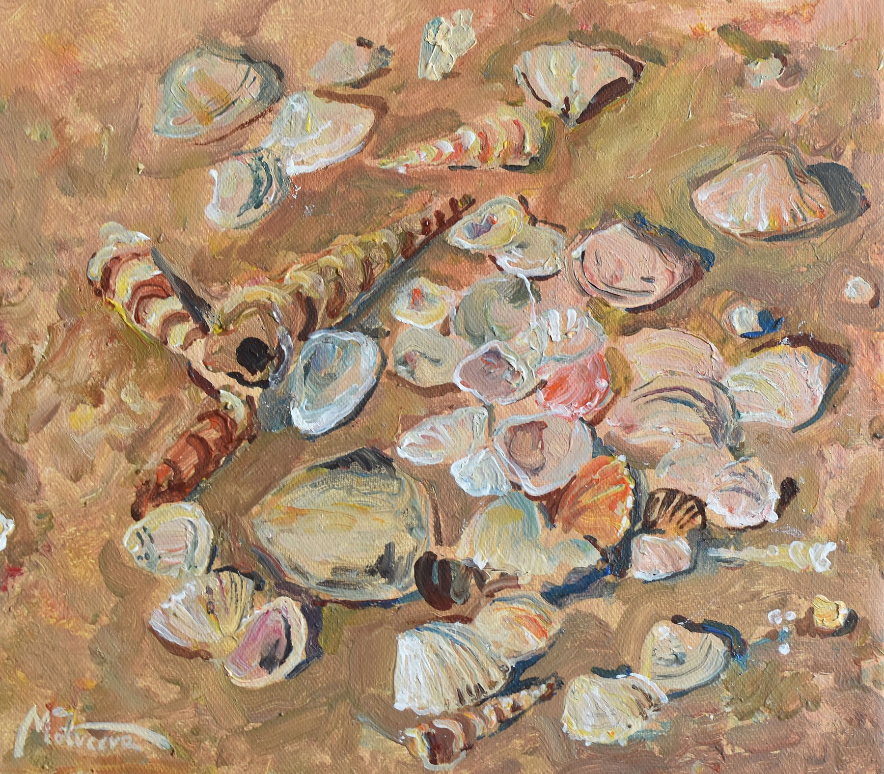 Seashells — Matveeva Anastasia