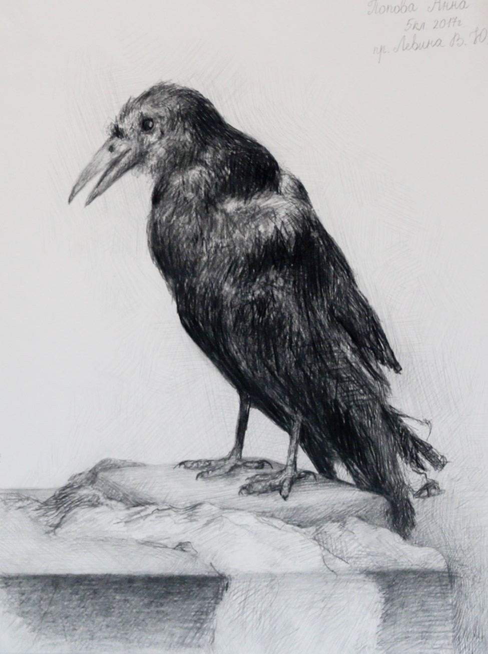 Popova A