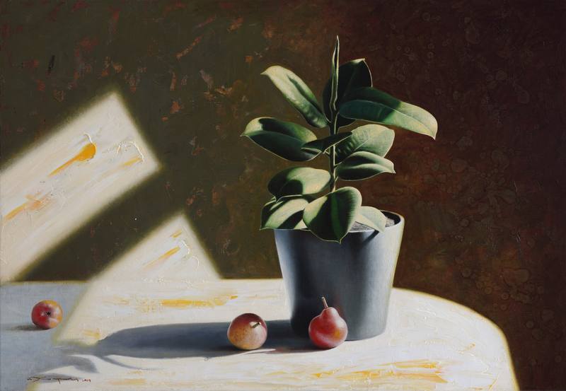 Young ficus — Khokhrin Ilya