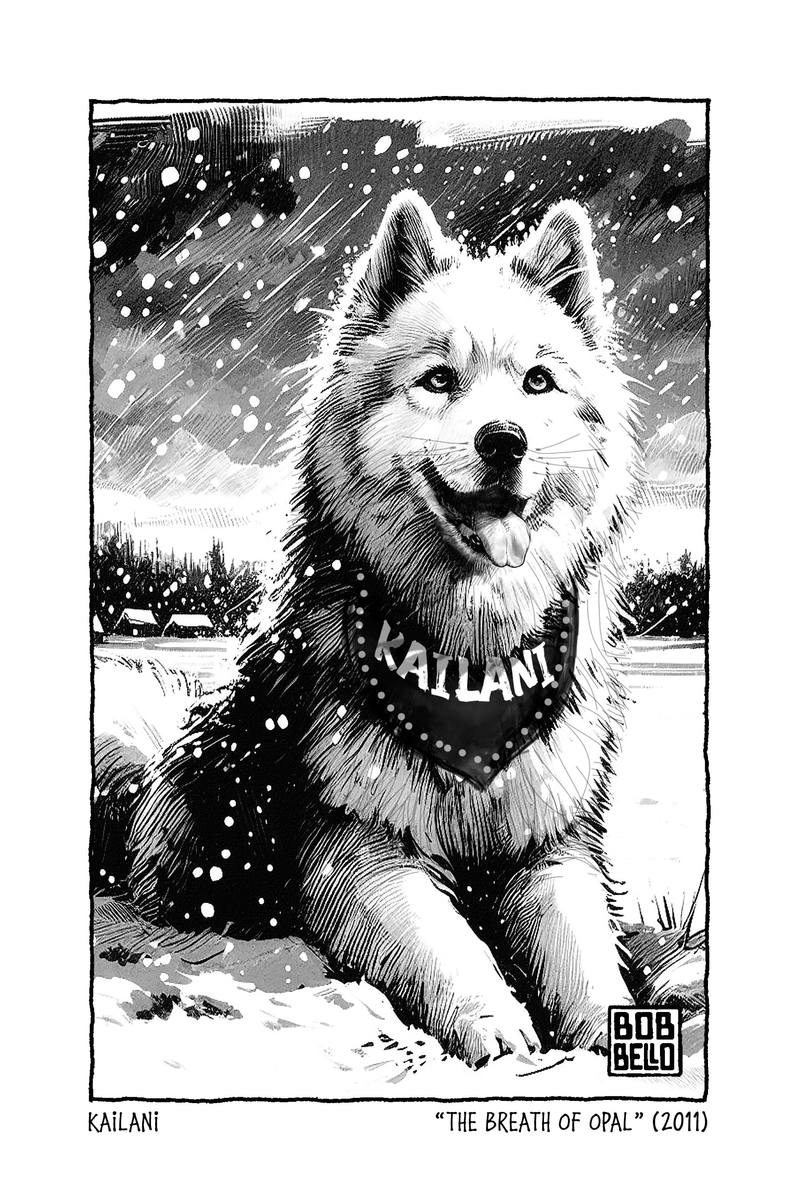 Kailani of Canis major — Bello Bob
