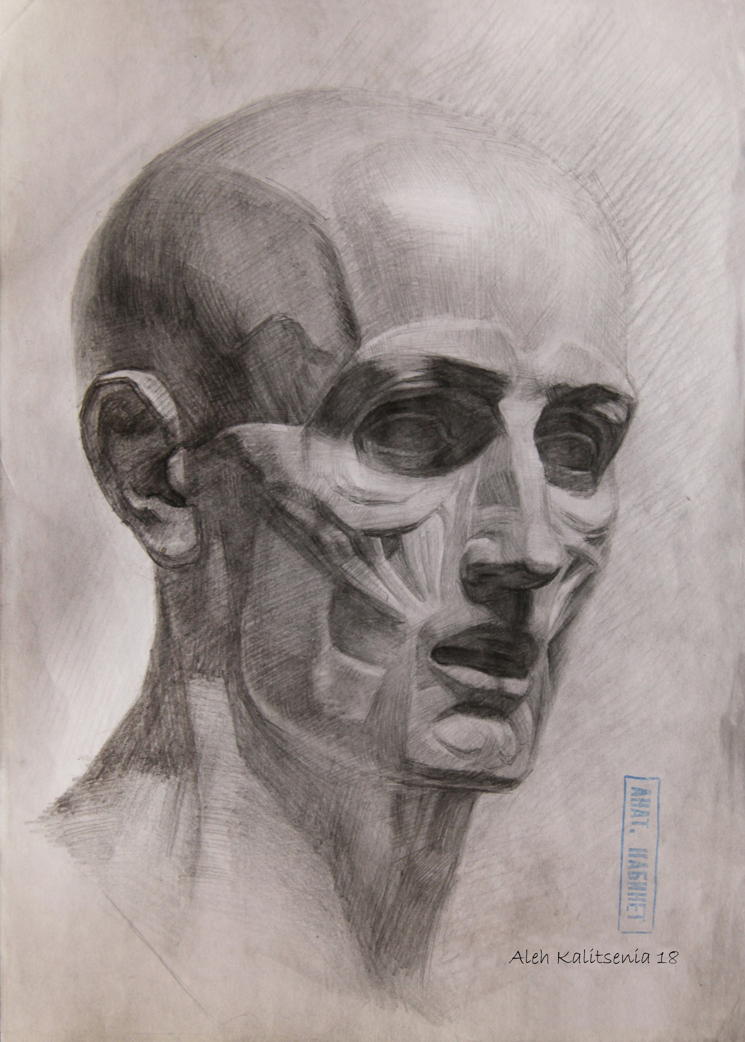 Ecorche of the head of Houdon. 2018. — Kalitsenia Aleh