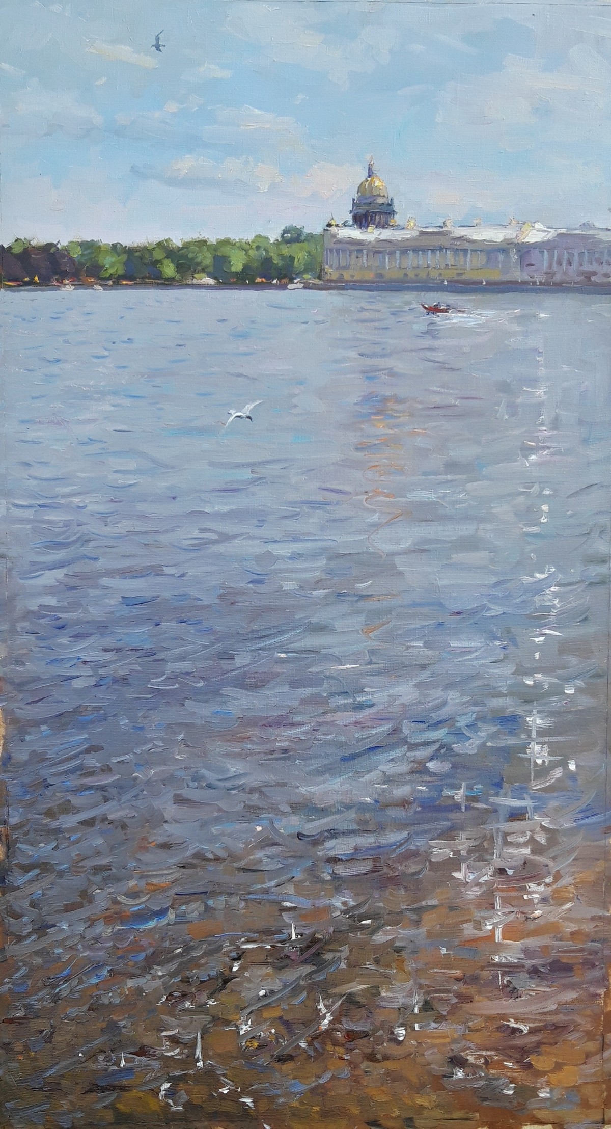 Seagulls — Usmanov Anvar