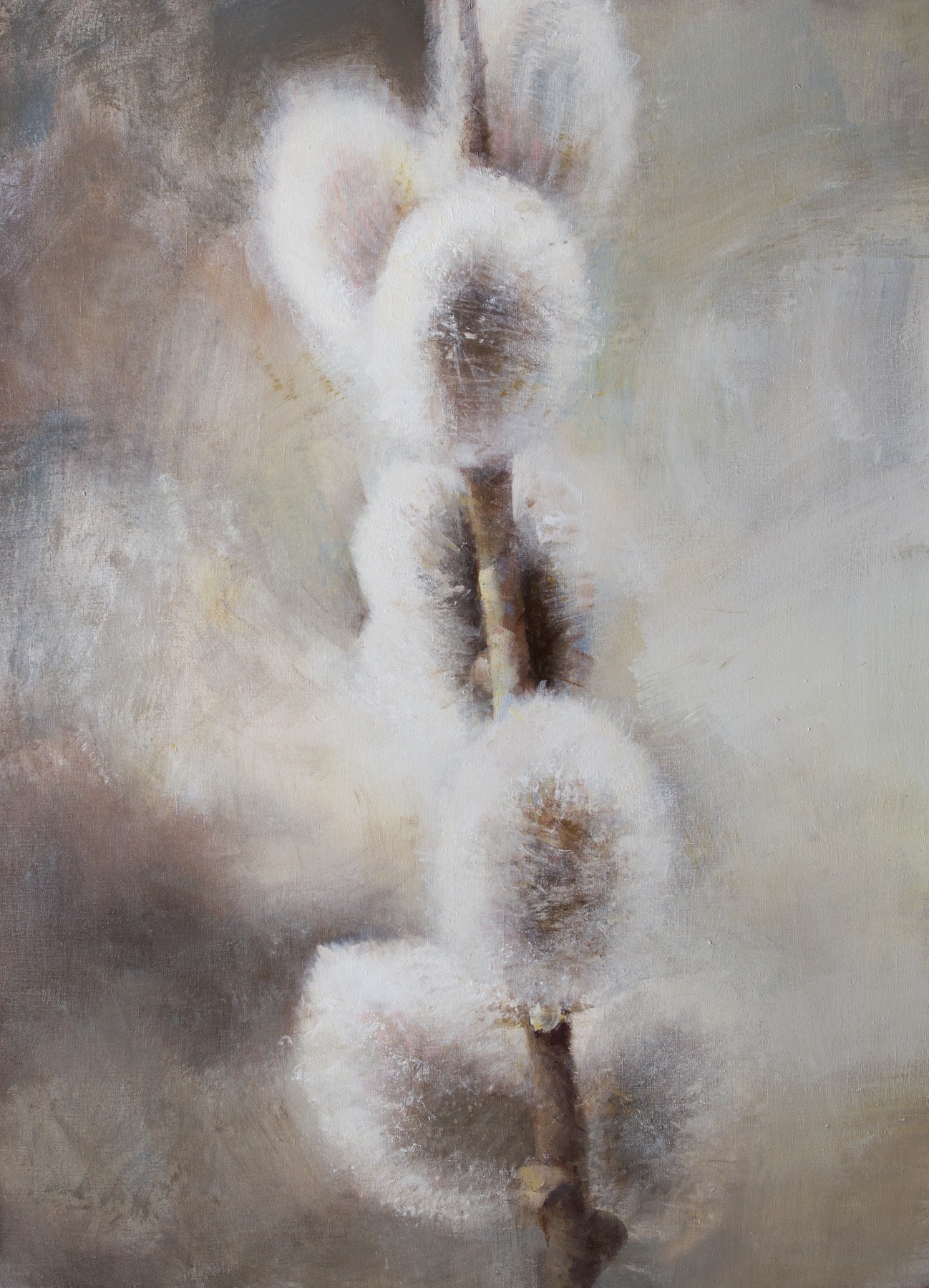 Pussy-willow 48 — Pervushin Yury