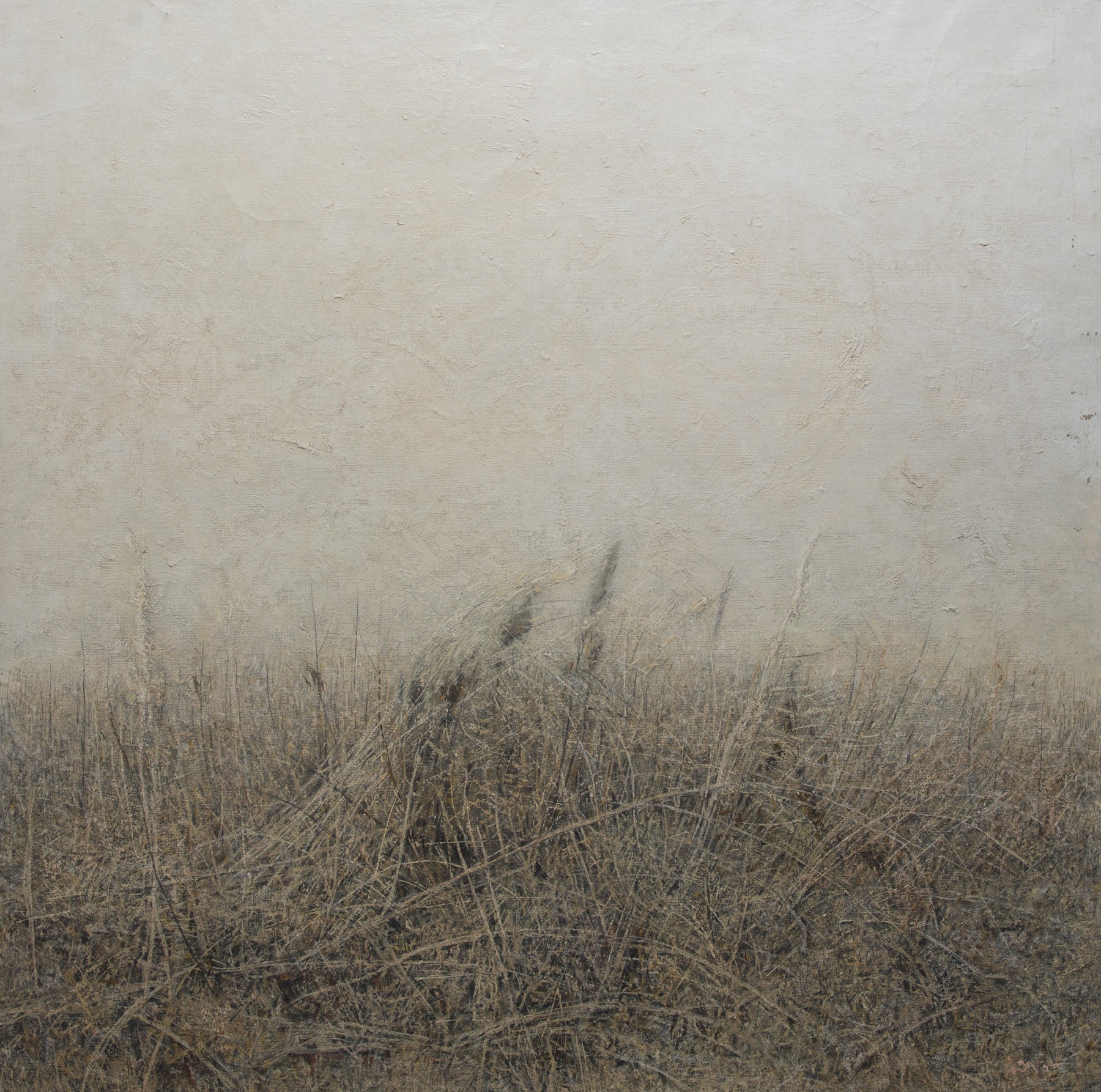 Grass 6 — Pervushin Yury