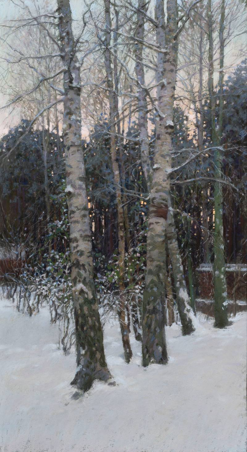 Birches — Oussik Sergey