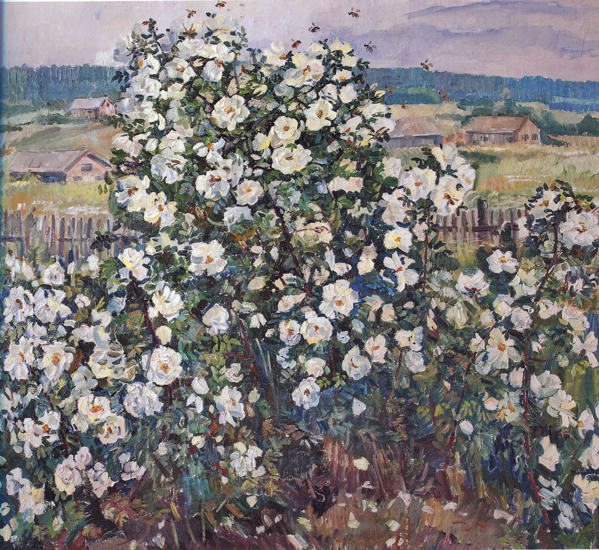 White dog rose — Suvorova Natalia